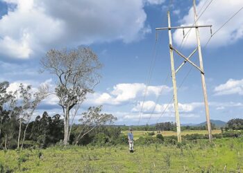 Certel elabora relatório ambiental para nova linha de transmissão