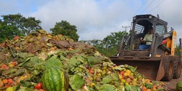 Brasileiro deve mudar para reduzir desperdício de alimentos, dizem especialistas