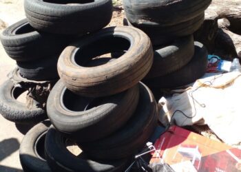 Números ainda maiores em novo Mutirão de Limpeza contra a Dengue