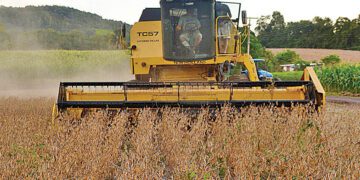 Falta de chuva atinge lavouras e Estado busca apoio da União