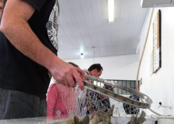Dia das Crianças com peixes em Estrela