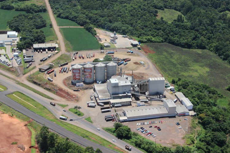 Da união de pequenos produtores rurais nasce uma das maiores cooperativas do Estado