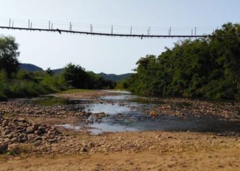Governo do RS anuncia R$ 55,1 milhões para enfrentamento da estiagem e quais municípios serão contemplados
