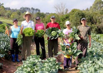 Agricultura familiar do Brasil é 8ª maior produtora de alimentos do mundo