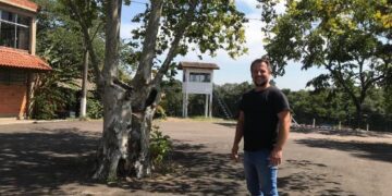 Eventos são projetados para movimentar mais o Parque do Chimarrão