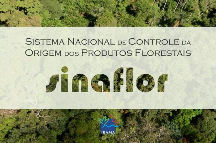 Fepam abre duas novas turmas para curso do Sinaflor