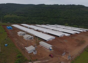 Marques de Souza: Condomínio Dália começa a operar