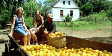 Seminário Regional de Sucessão Rural ocorre no próximo sábado em Colinas
