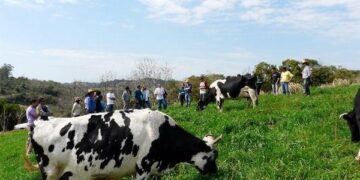 Fórum da Rede Leite debate rumos da economia e possibilidades de mercado para agricultores familiares