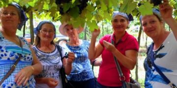 Roteiro da Uva e Vinho de Sarandi é atração para turistas no mês de janeiro