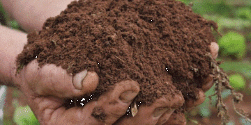 Manejo de Solos será tema de Fórum em Teutônia