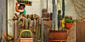 Imigrante está com inscrições abertas para o VI Concurso Fotográfico