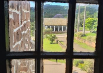 Conhecidas as quatro melhores fotografias de 2020