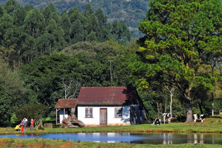 Concurso de Fotografias recebe inscrições a partir do dia 1º de agosto