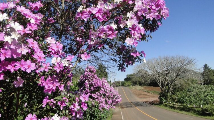 Colinas abre inscrições para Concurso fotográfico