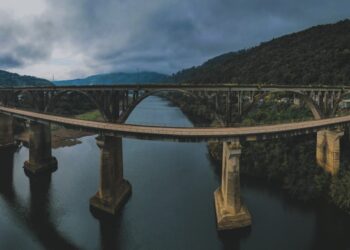 Vencedores de concurso fotográfico foram conhecidos nesta manhã