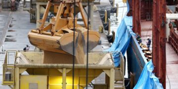 Economia Safra de grãos deve ser recorde em 2021, diz IBGE