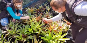 Teutônia intensifica ações de combate ao Mosquito Aedes Aegypti