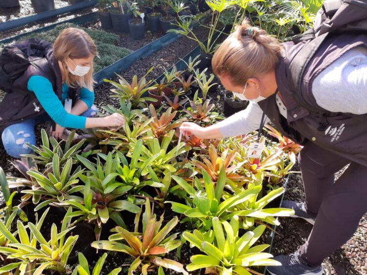 Teutônia intensifica ações de combate ao Mosquito Aedes Aegypti