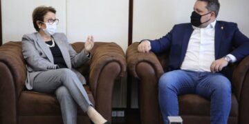 Ministério liberará R$ 600 mil para combater nuvem de gafanhotos no RS