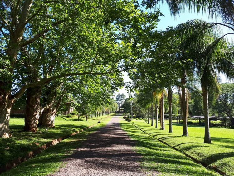 Aniversário do Jardim Botânico de Lajeado terá programação especial