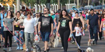 Cãominhada de Estrela com inscrições abertas