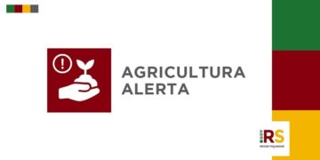Secretaria da Agricultura alerta sobre nova onda de golpes