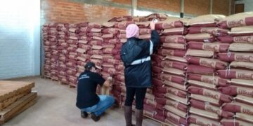 Secretaria autoriza empresas a começarem distribuição de sementes do programa Troca-Troca