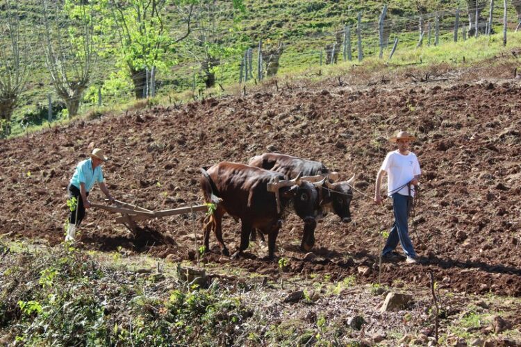 Imigrante lança o 7ª Concurso de Fotografias
