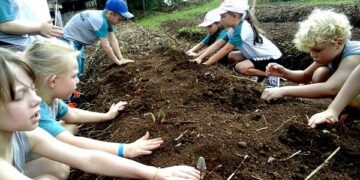 Colégio Teutônia desenvolve projeto de Agroecologia