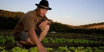 Investimentos federais na área de agricultura tiveram redução de 25% em 2016