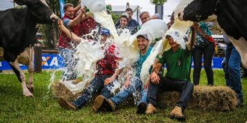 Vencedores do concurso de raça Holandesa da Expointer são de Anta Gorda e Serafina Corrêa