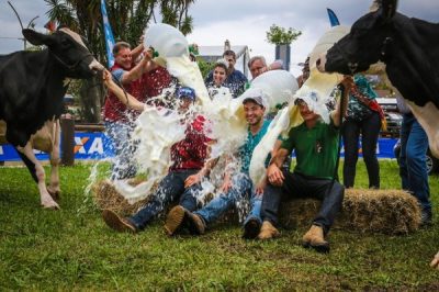 Os vencedores do concurso da raça Holandesa recebem o tradicional banho de leite (Foto: Gustavo Roth/Agência Preview)