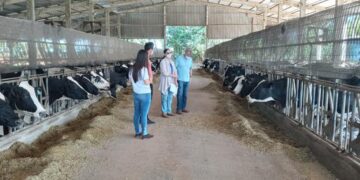 Estrela Multifeira entrega premiação do Concurso Leiteiro no dia 6 de novembro