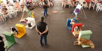 Cães dão show de destreza, obediência e inteligência na Estrela Multifeira