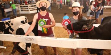 Salão do Agronegócio premia novilhas e terneiras referências do setor leiteiro de Estrela