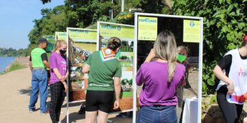 Mostra Espelhos está disponível para exposição em empresas e entidades do Vale do Taquari