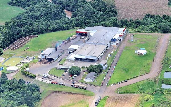 Cooperativa Languiru comemora 61 anos com programação especial dirigida aos associados