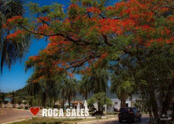Administração de Roca Sales apresenta proposta para retorno gradativo das atividades