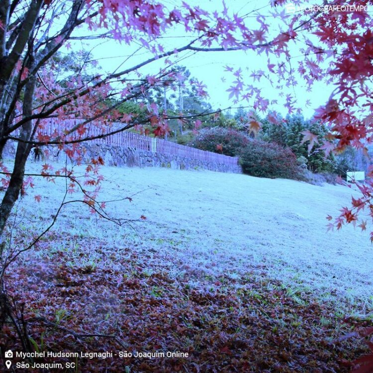 Geada no Sul, Sudeste e no Centro-Oeste