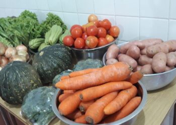 Secretaria de Agricultura realiza a primeira entrega do PAA de 2020