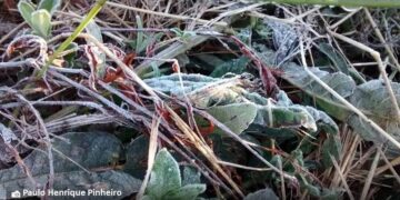 Frio abaixo de zero no final da semana