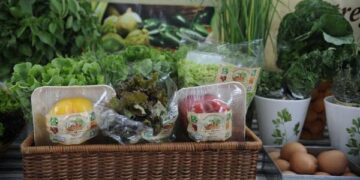 Embrapa, FAO e WWF lançam campanha em comemoração ao Dia Mundial da Alimentação