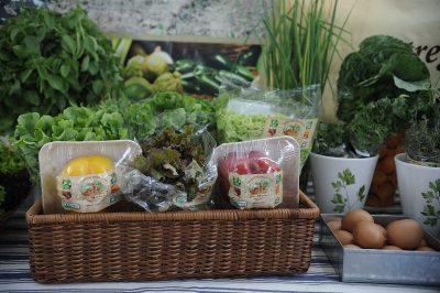 hortas serão utilizadas para ensinar os alunos sobre produção agrícola, desenvolvimento sustentável e hábitos alimentares saudáveis (Foto: Divulgação)