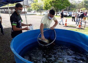 Feira do Peixe Vivo de Lajeado ocorrerá na próxima sexta-feira, 14/05