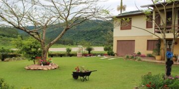Vencedores do concurso “Meu jardim mais bonito” foram divulgados na quarta-feira