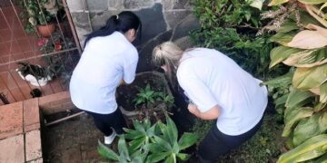 Nova ação intensiva contra o mosquito da Dengue