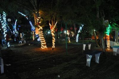Adote uma árvore - Natal no parque 2016 (Foto: Divulgação)