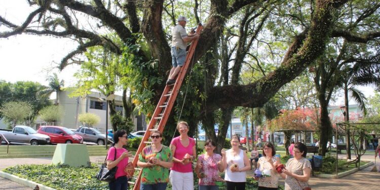 Praça Flores da Cunha recebe casinhas de passarinho produzidas em projeto de cerâmica
