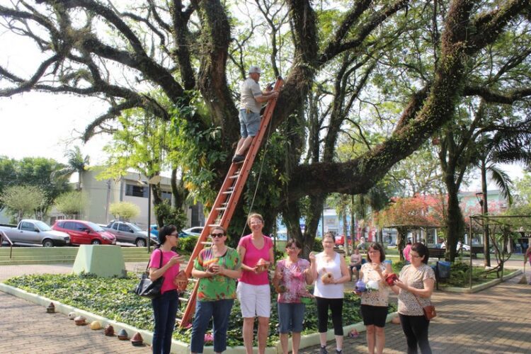 Praça Flores da Cunha recebe casinhas de passarinho produzidas em projeto de cerâmica
